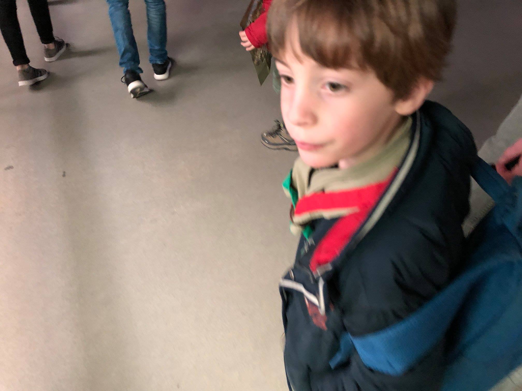 Sint-Martinus den XIIde - Zoo Antwerpen Kapoenen